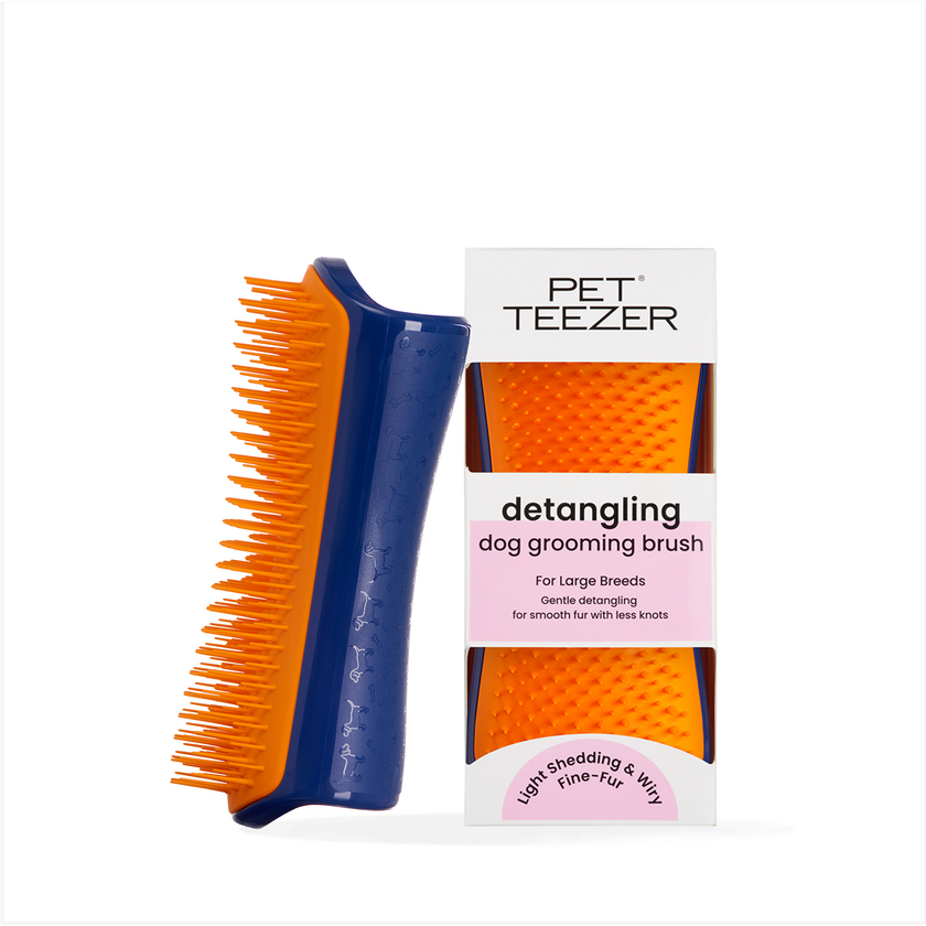Detangling Dog Grooming Brush - Distinct Catalog